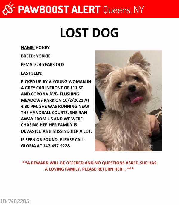 Lost Female Dog last seen 111st and corona avenue ( entrance of flushing meadows park), Queens, NY 11368