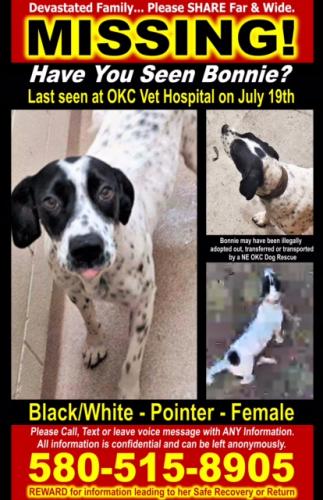 Lost Female Dog last seen Near North Macarthur Boulevard, Warr Acres, OK, USA, Warr Acres, OK 73122