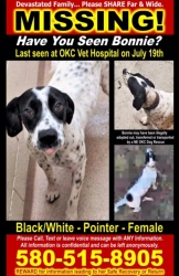 Lost Female Dog last seen Near North Macarthur Boulevard, Warr Acres, OK, USA, Warr Acres, OK 73122