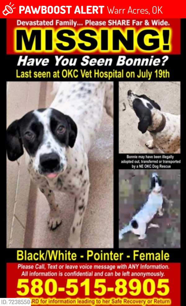 Lost Female Dog last seen Near North Macarthur Boulevard, Warr Acres, OK, USA, Warr Acres, OK 73122