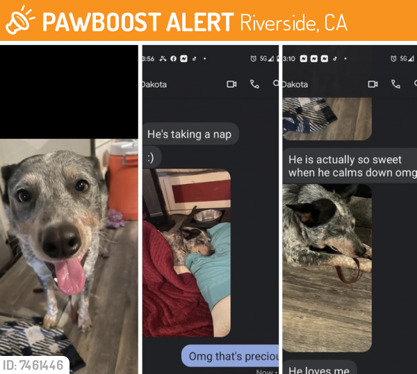 Found/Stray Unknown Dog last seen Crestmore, Riverside, CA 92509