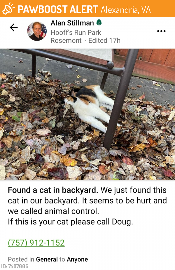 Found/Stray Female Cat last seen Hooffs Run Park in Rosemont, Alexandria, VA 22301