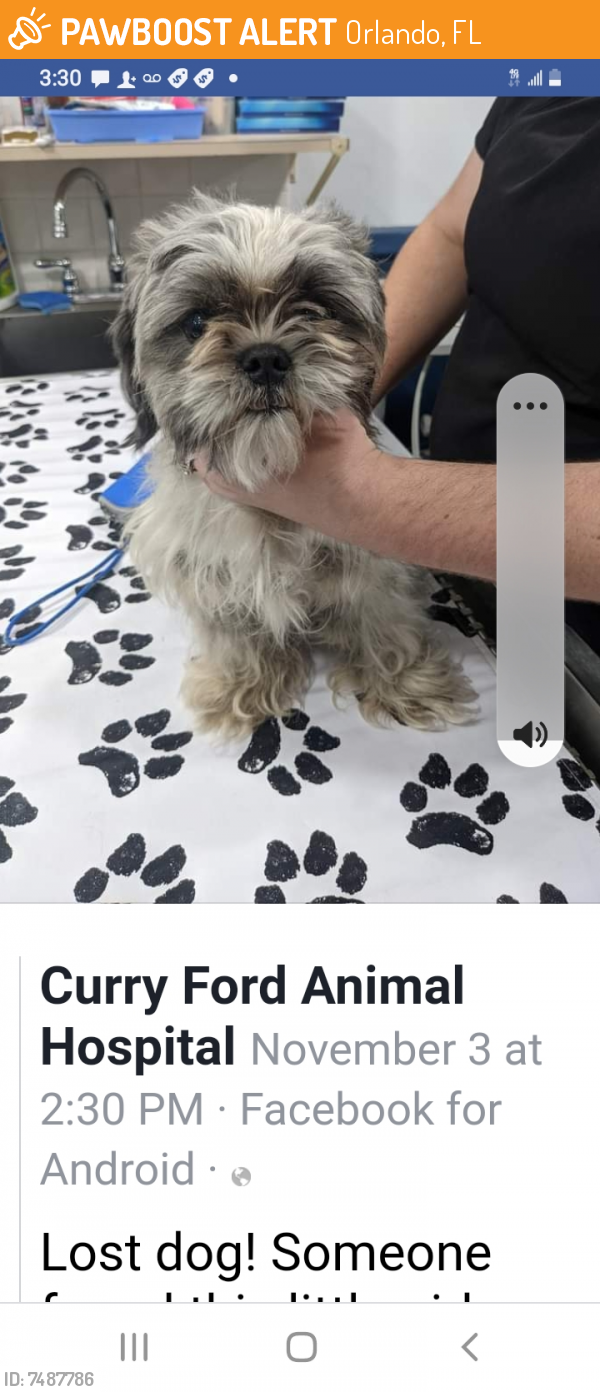 Found/Stray Unknown Dog last seen Curry Ford , Orlando, FL 32822