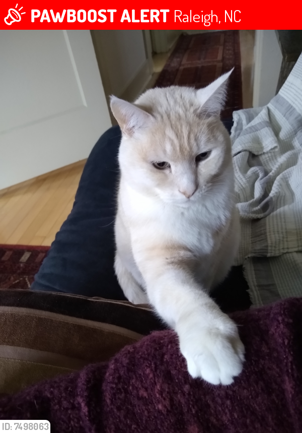 Lost Male Cat last seen Near Trillium Circle, Raleigh, NC 27606