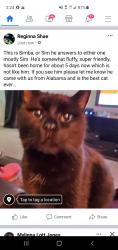 Lost Male Cat last seen Near w 17th Ave Kennewick Wa, Kennewick, WA 99337