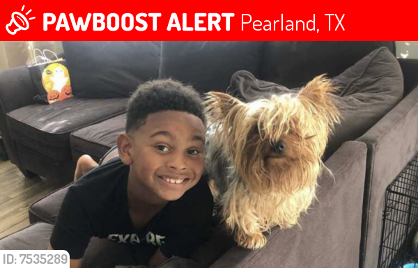 Lost Male Dog last seen Near Huggins way , Pearland, TX 77584