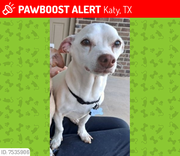 Lost Male Dog last seen Near Tiburon Lakes Dr, Katy, TX 77493, Katy, TX 77493