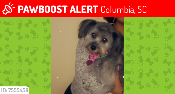 Lost Male Other last seen Percival Road & Forest Dr, Columbia, SC 29223