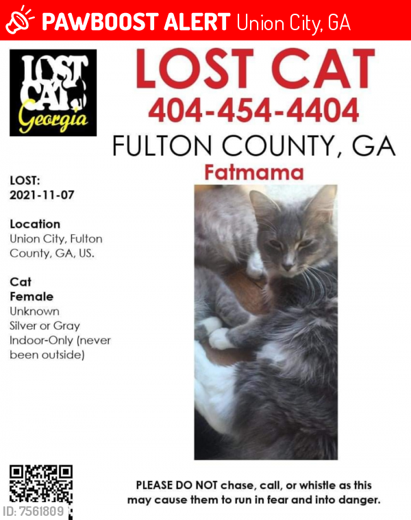Lost Female Cat last seen flt shoals rd , Union City, GA 30291