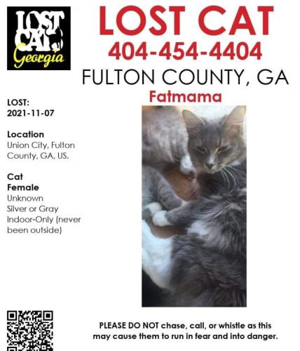 Lost Female Cat last seen flt shoals rd , Union City, GA 30291