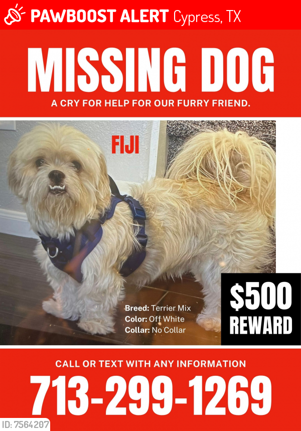 Lost Male Dog last seen Ranger Ridge Dr, Cypress, TX 77429