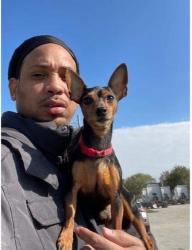 Lost Male Dog last seen Lost on side of I-75 S at mile 321 @ sign for Ext 320 (1ml) N of Resaca Battlefield Historic Site, I-75,  30735