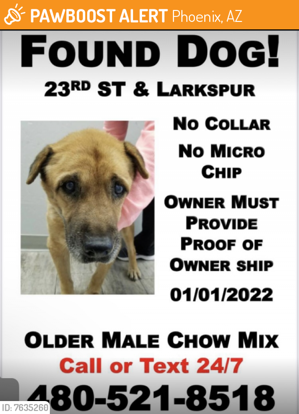 Found/Stray Male Dog last seen 23rd St & Larkspur  , Phoenix, AZ 85022