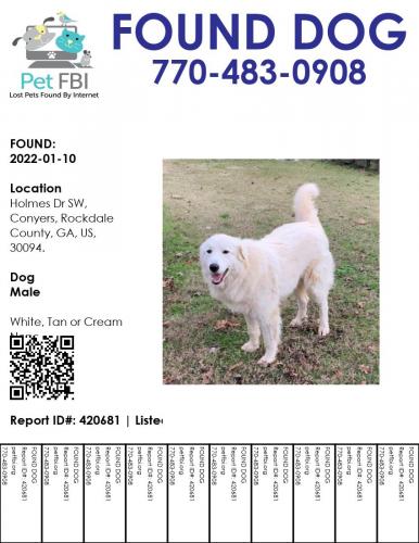 Found/Stray Male Dog last seen Holmes Drive and Deer Run Drive, GA-212, GA 31064