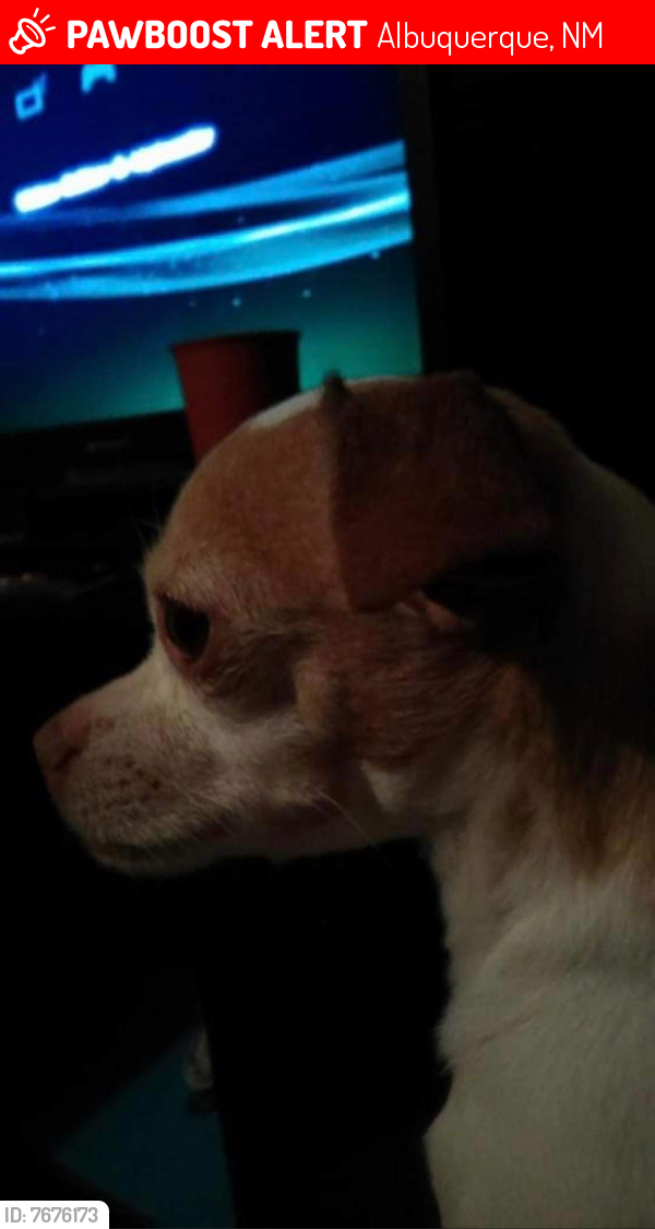 Lost Male Dog last seen Cirner benavides rd. /86th st, Albuquerque, NM 87121