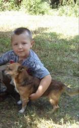 Reunited Male Dog last seen Erin Lane, Pickens SC, Pickens County, SC 29671