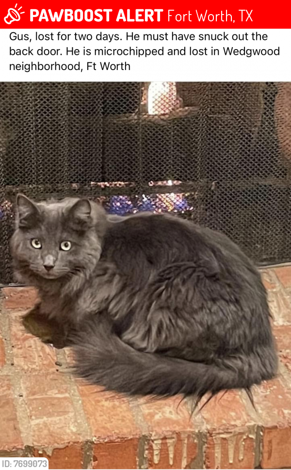 Lost Male Cat last seen Woodway, Fort Worth, TX 76133