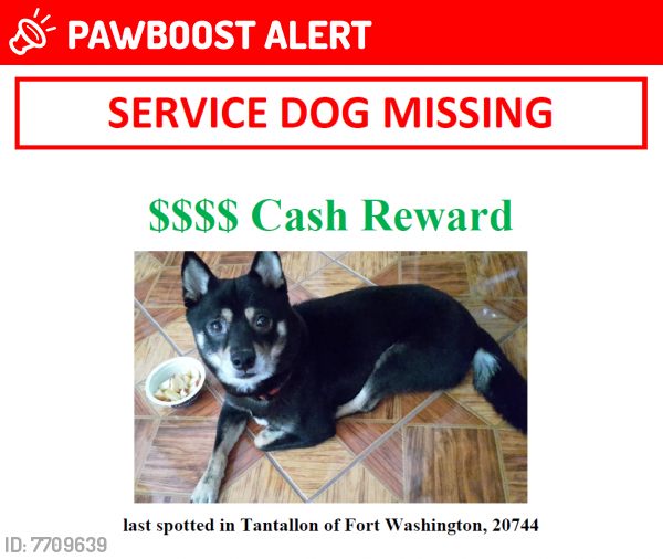 Lost Unknown Dog last seen W Tantallon Dr & Fort Washington Rd, Fort Washington, MD 20744, Fort Washington, MD 20744