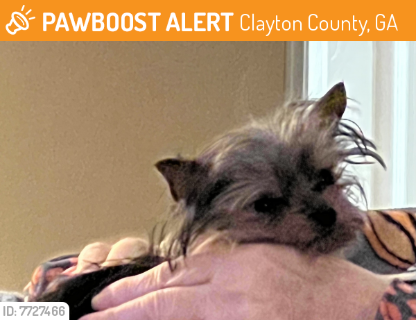 Found/Stray Male Dog last seen Walt Stephens , Clayton County, GA 30236