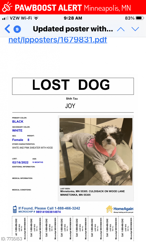 Lost Female Dog last seen Es rd, Minneapolis, MN 55402