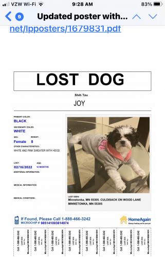 Lost Female Dog last seen Es rd, Minneapolis, MN 55402