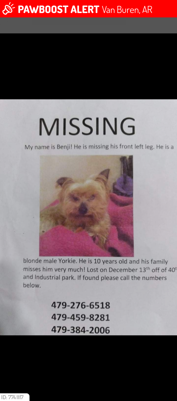 Lost Male Dog last seen South 40th street , Van Buren, AR 72956