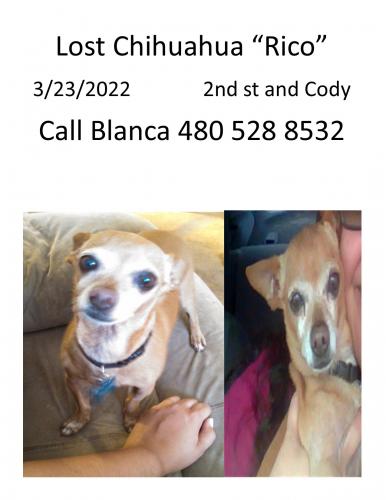 Lost Male Dog last seen 2nd St and Cody dr, Phoenix, AZ 85004