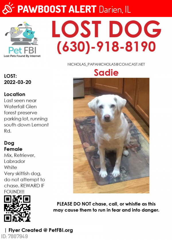 Lost Female Dog last seen 103rd & Lemont Rd, Darien, IL 60561