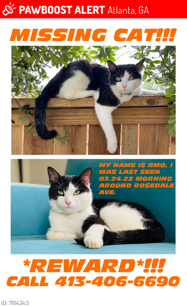 Lost Male Cat last seen Ormwood Ave SE, Atlanta, GA 30312