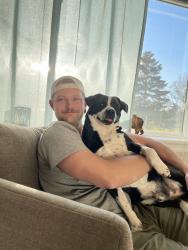 Reunited Male Dog last seen S Cherokee St, Englewood, CO, USA, Englewood, CO 80110