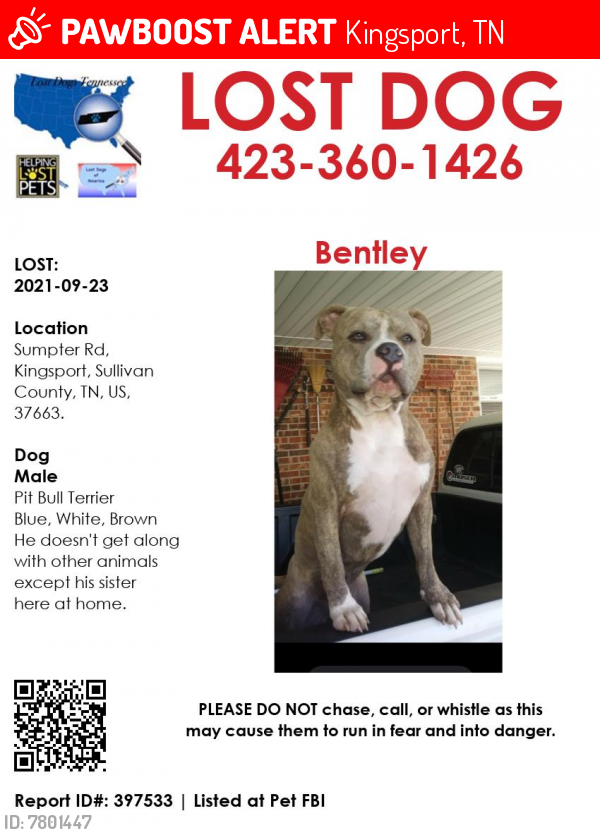 Lost Male Dog last seen Near Sumpter rd kingsport tn 37663, Kingsport, TN 37663