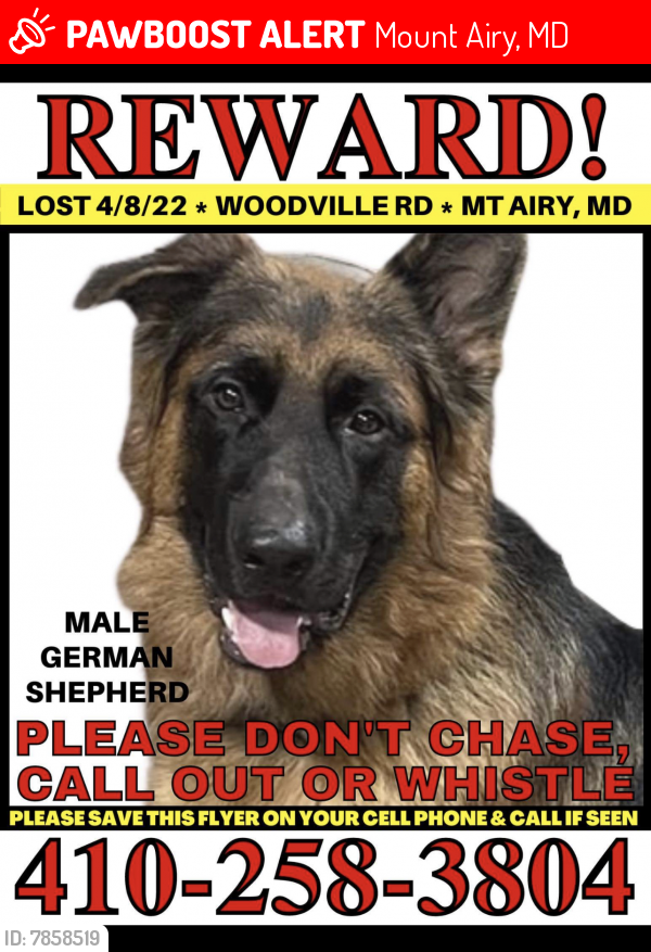 Lost Male Dog last seen Woodville Rd/old Annapolis Rd, Mount Airy, MD 21771