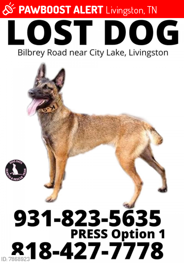 Lost Female Dog last seen Bilbrey Road/hwy 111, Livingston, TN 38570