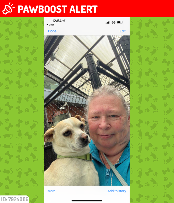 Mountlake Terrace, WA Lost Male Dog, Oliver Is Missing PawBoost