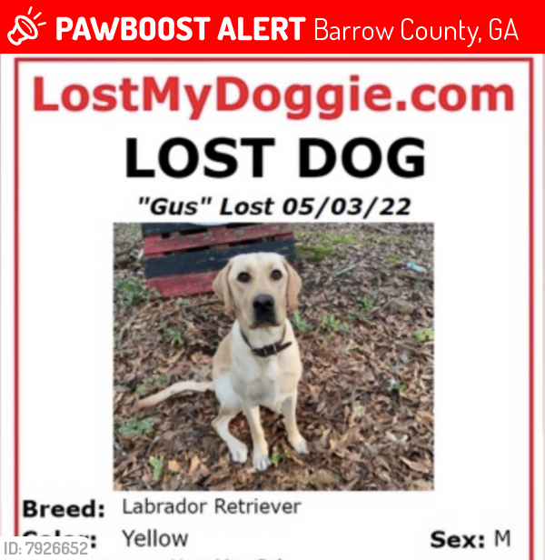 Lost Male Dog last seen Austin Rd And Smith Mill Rd Winder Ga.  Possible sighting on Mulberry Rd and County Line Auburn Rd Winder Ga, Barrow County, GA 30680
