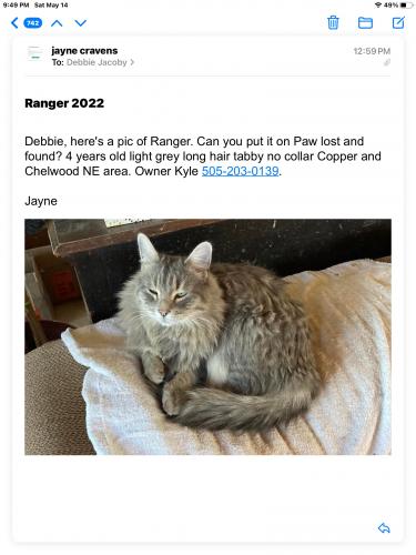 Lost Male Cat last seen Chelwood and Copper, Albuquerque, NM 87123