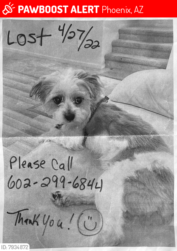 Lost Male Dog last seen Near S 16th St Phoenix, Az 85034, Phoenix, AZ 85034