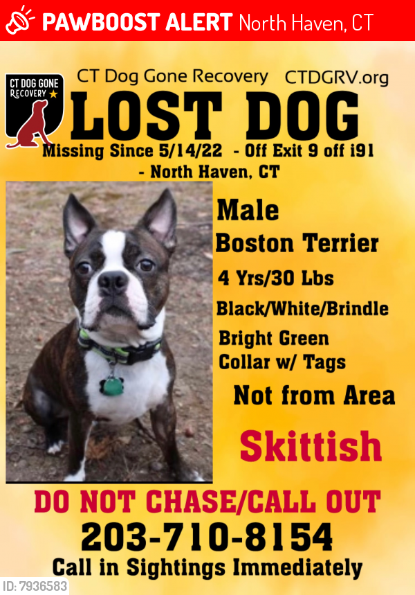 Lost Male Dog last seen Sunoco station, North Haven, CT 06473