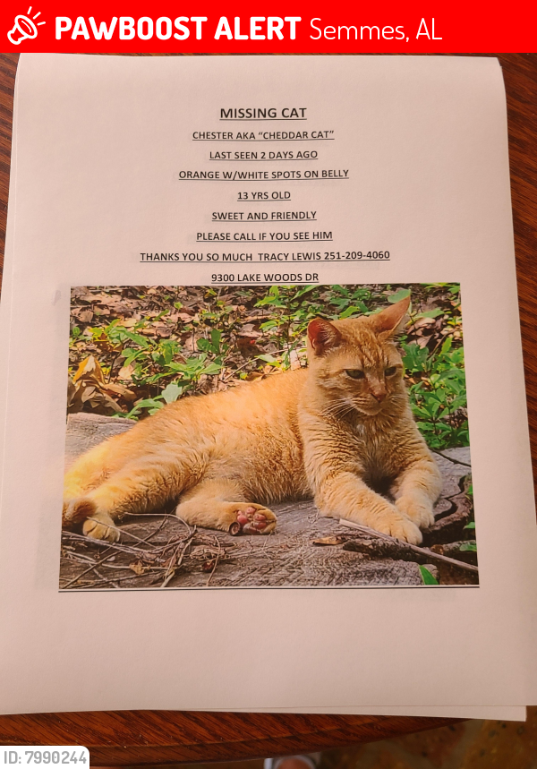 Lost Male Cat last seen Near lake woods dr  semmes al, Semmes, AL 36575