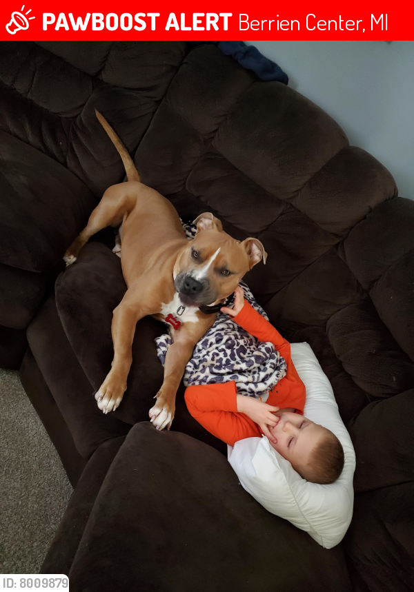 Lost Male Dog last seen Love creek, Berrien Center, MI 49102