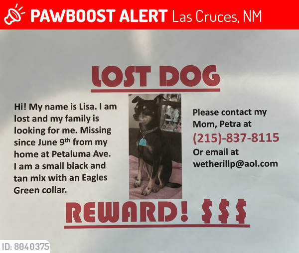 Las Cruces, NM Lost Female Dog, Lisa Is Missing PawBoost