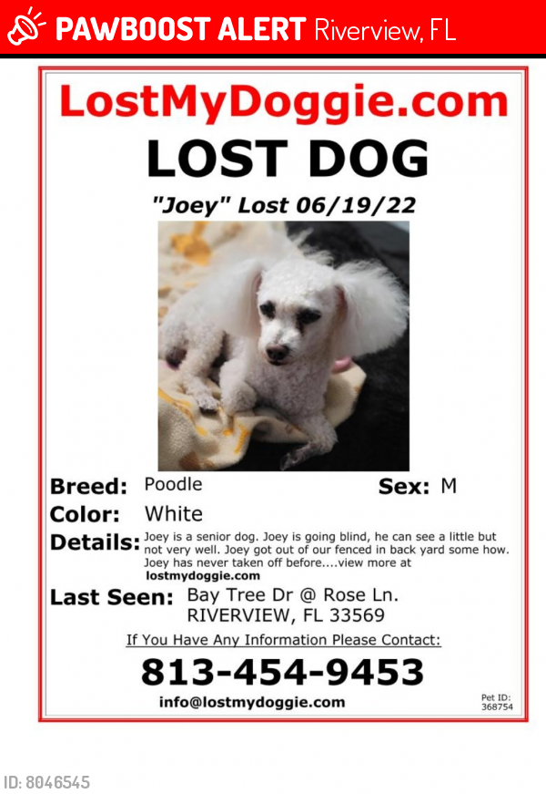 Lost Male Dog last seen Bay Tree Dr. @ Rose Ln , Riverview, FL 33569