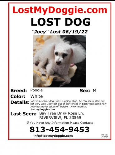 Lost Male Dog last seen Bay Tree Dr. @ Rose Ln , Riverview, FL 33569