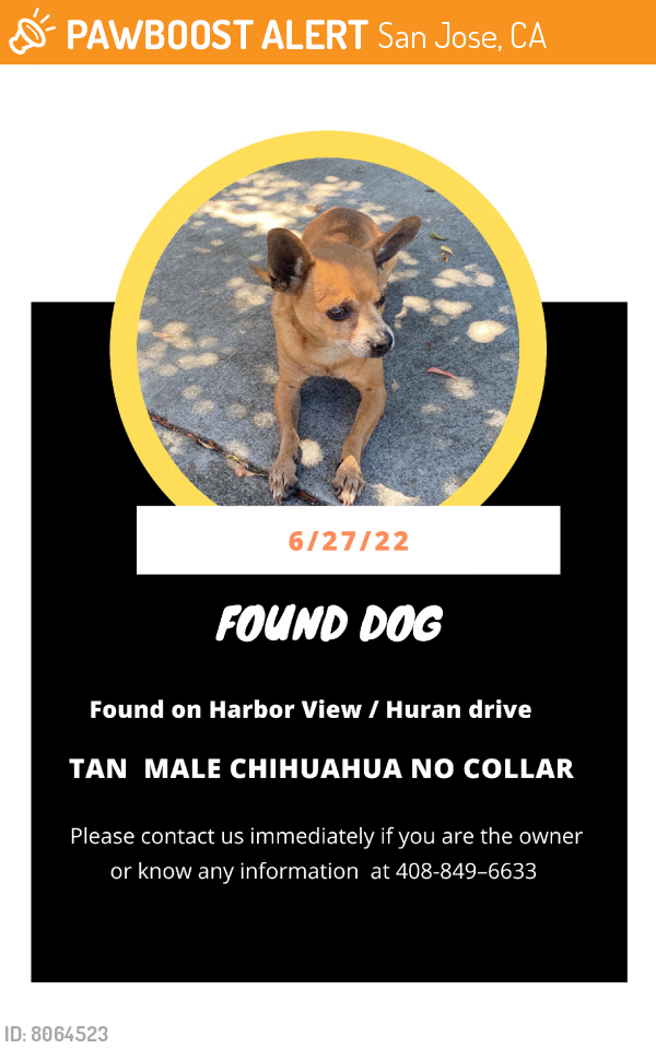 Found/Stray Male Dog last seen Harbor View And Huran Ave, San Jose, CA 95122