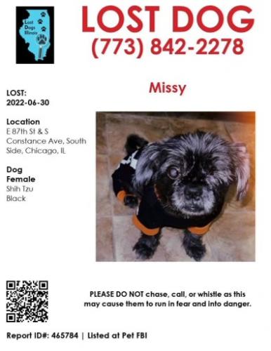 Lost Female Dog last seen E 87th street, Chicago, IL 60617
