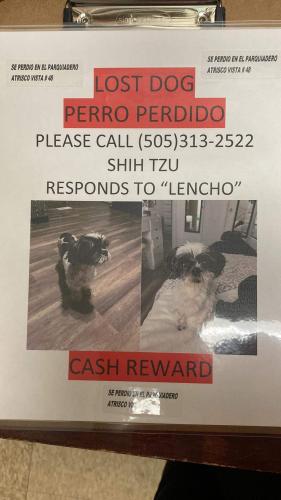 Lost Male Dog last seen Atrisco Vista Mobile  park , Albuquerque, NM 87120