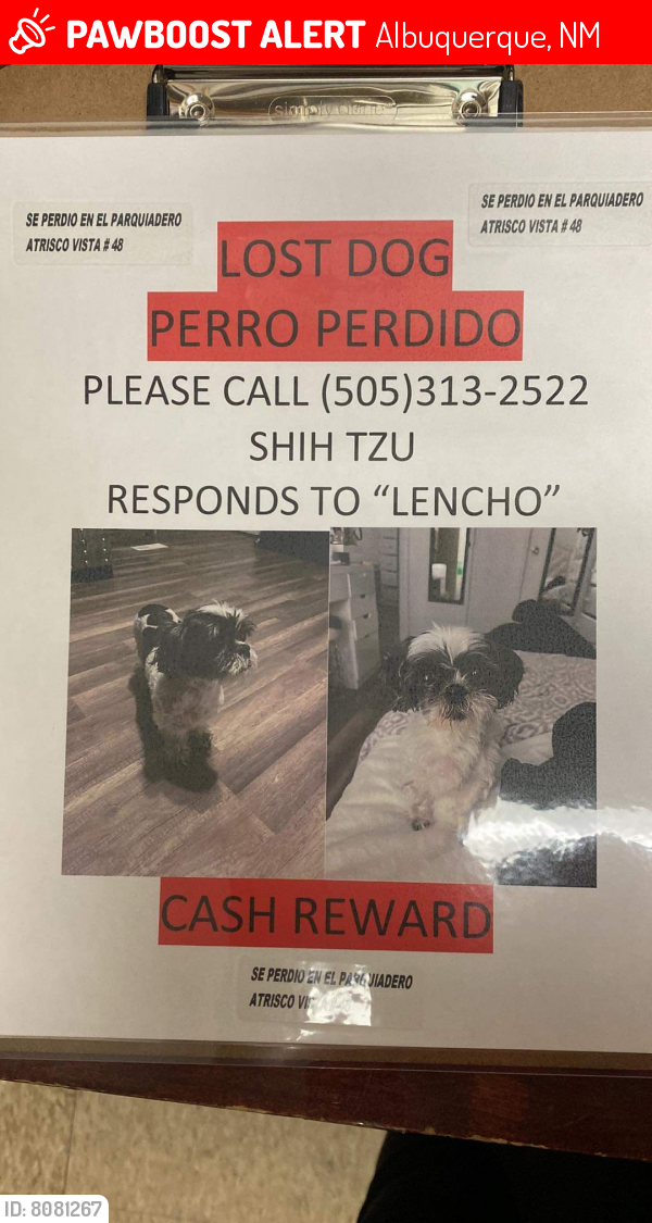 Lost Male Dog last seen Atrisco Vista Mobile  park , Albuquerque, NM 87120
