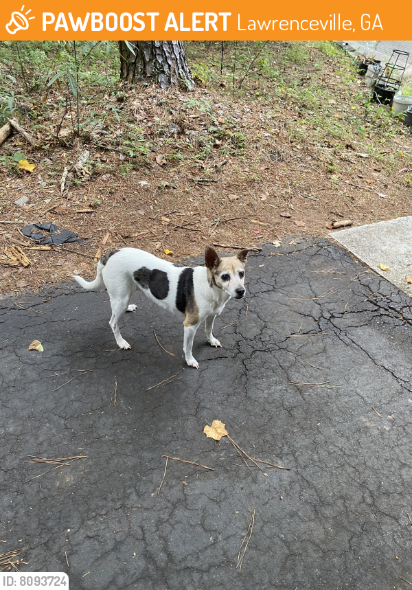Found/Stray Male Dog last seen Hutchins Rd. and Ansley Brook neighborhood, Lawrenceville, GA 30044