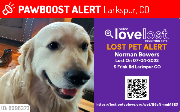 Lost Male Dog last seen Downtown Larkspur, Larkspur, CO 80118