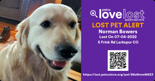 Lost Male Dog last seen Downtown Larkspur, Larkspur, CO 80118